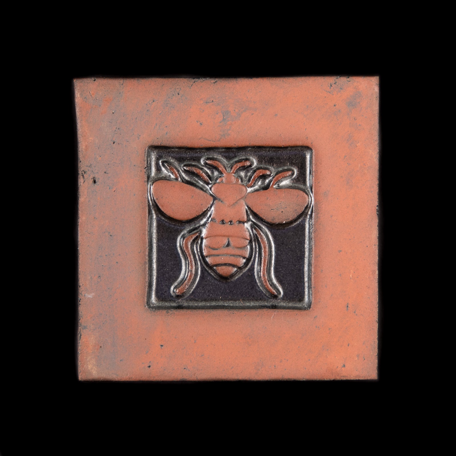 Animal Collection 3¾